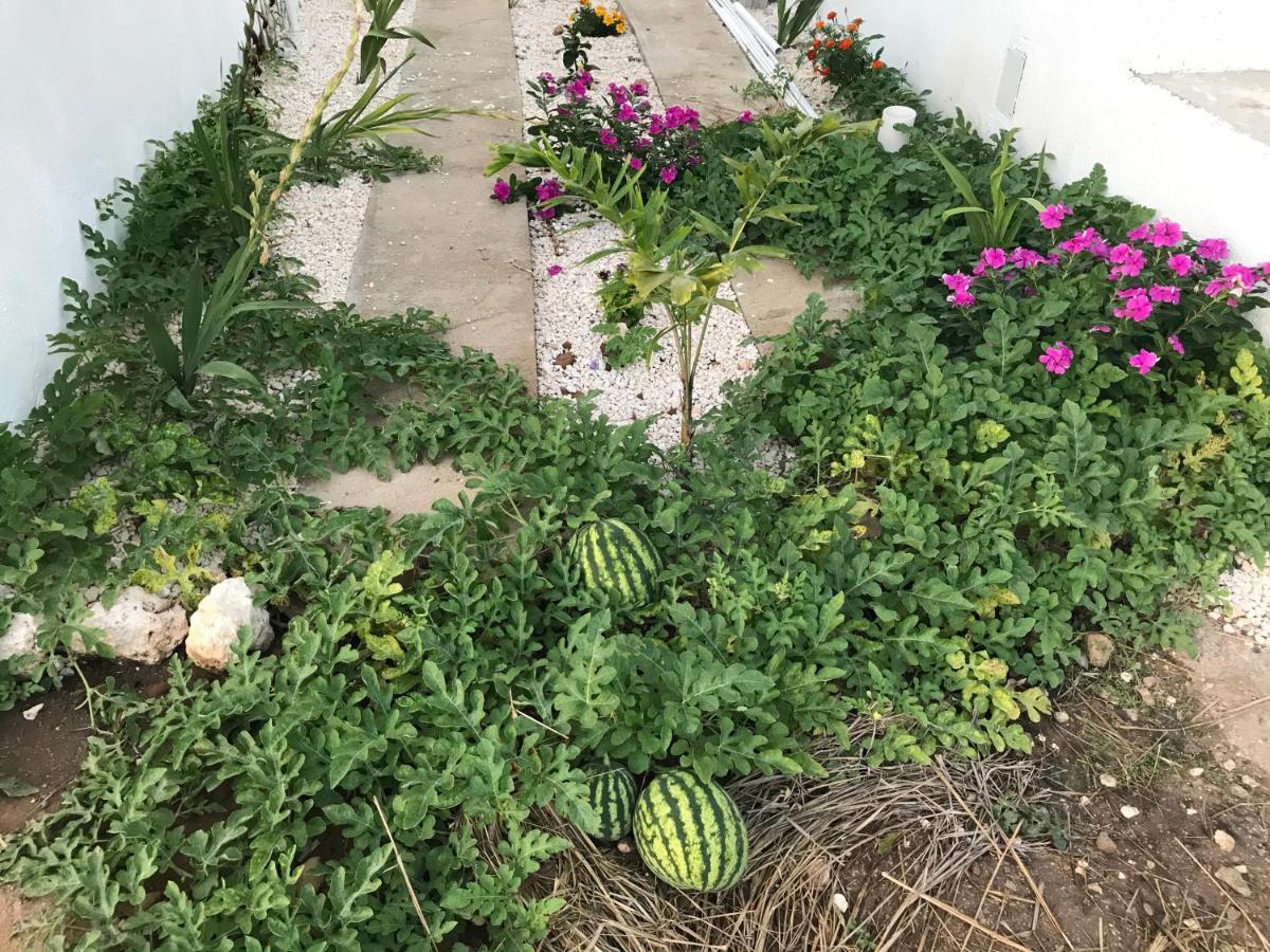 טרזר ביץ' Azteca Villas מראה חיצוני תמונה