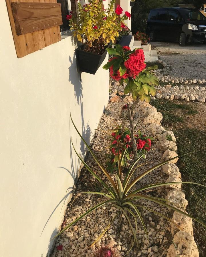 טרזר ביץ' Azteca Villas מראה חיצוני תמונה